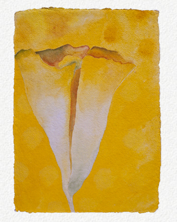 Image: