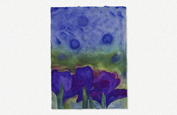 Iris Before the Storm (2006)