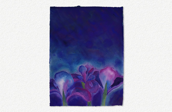 Iris Before the Storm II (2006)