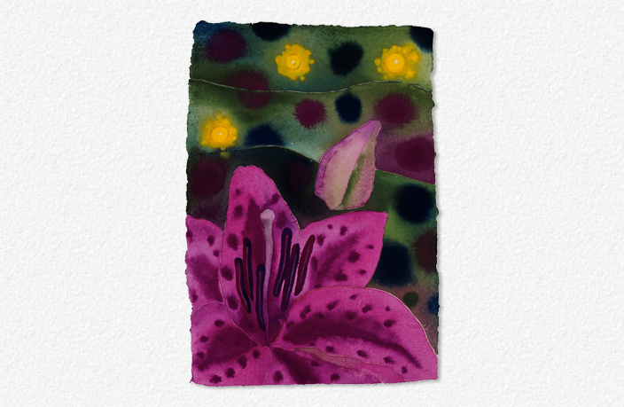 Lilium IV (2004)