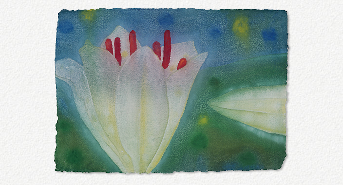 Dream Lilies (2005)