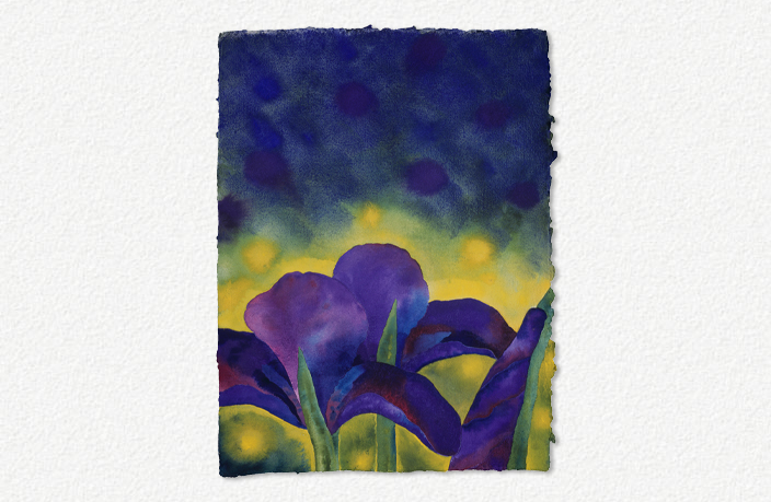 Iris at Sunset (2006)