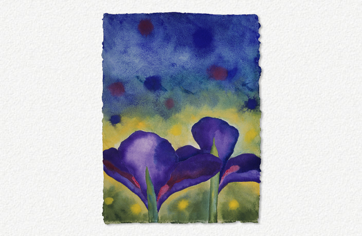 Iris at Sunset II (2006)