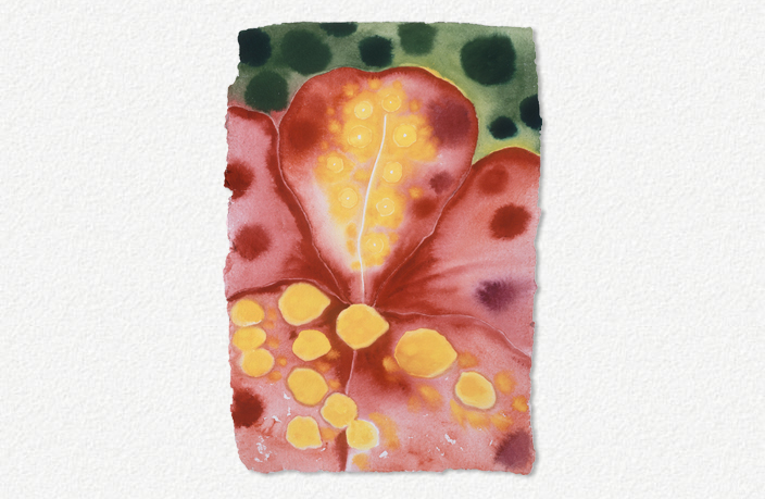 Kiss of the Butterfly III (2003)