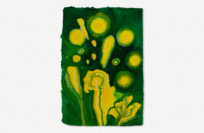 The Rites of Spring III (1999)