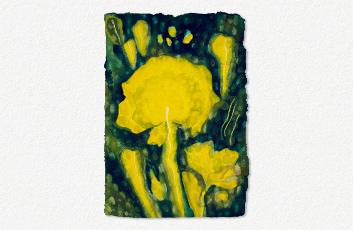 The Rites of Spring XIII (1999)