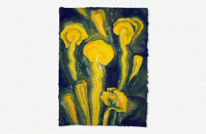 The Rites of Spring XIII (1999)