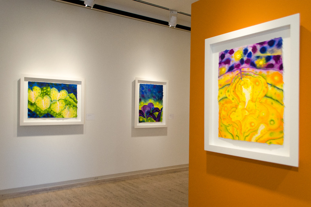 Installation view 6 of 6, An Odyssey of Dreams, The Sheldon Museum of Art, 2014