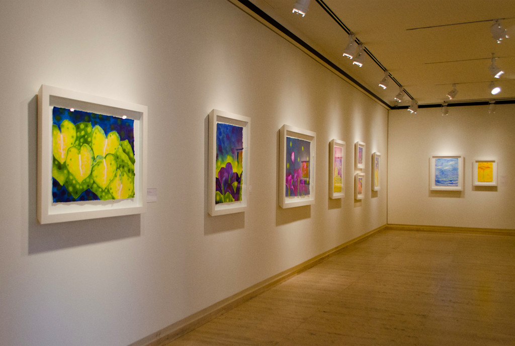 Installation view 5 of 6, An Odyssey of Dreams, The Sheldon Museum of Art, 2014