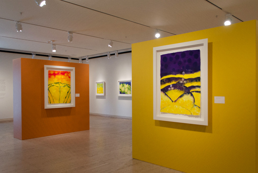 Installation view 4 of 6, An Odyssey of Dreams, The Sheldon Museum of Art, 2014