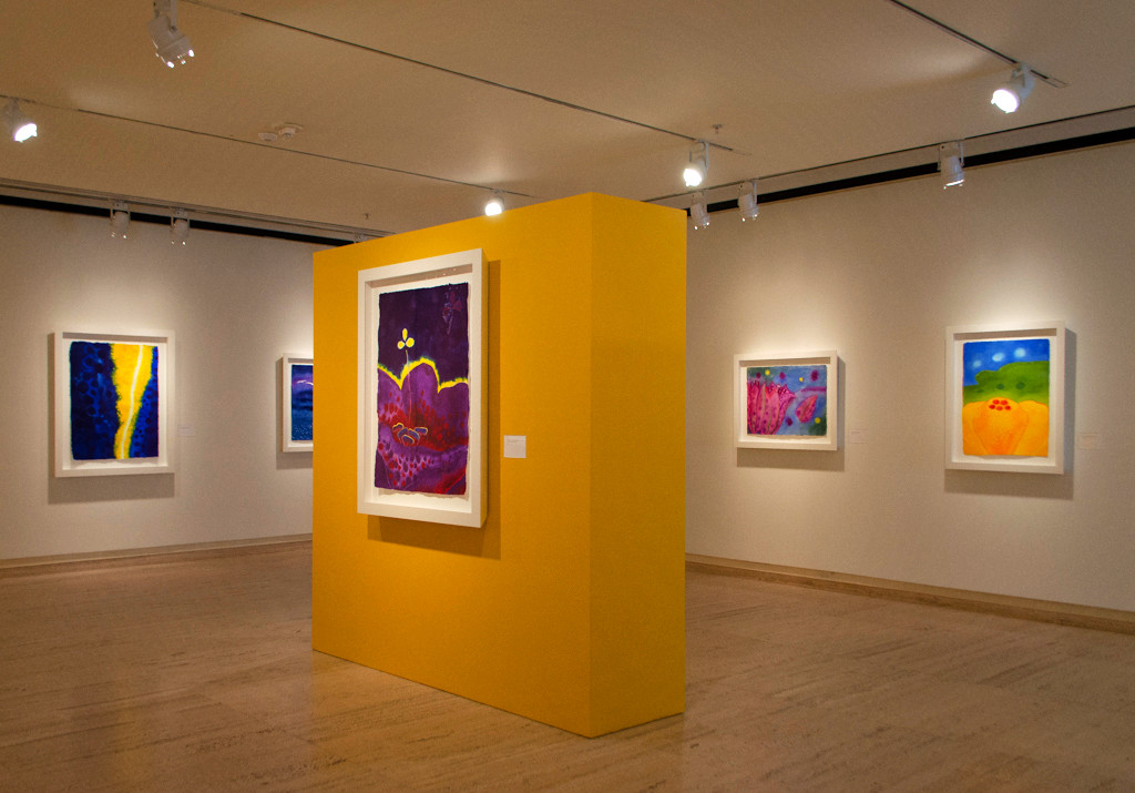 Installation view 3 of 6, An Odyssey of Dreams, The Sheldon Museum of Art, 2014