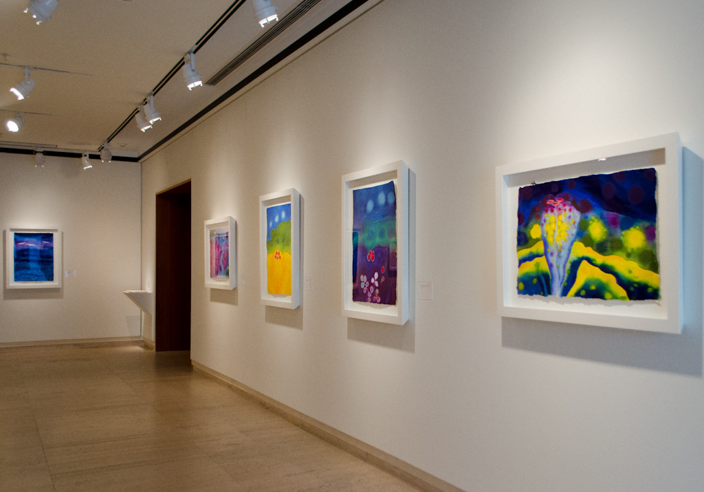 Installation view 2 of 6, An Odyssey of Dreams, The Sheldon Museum of Art, 2014